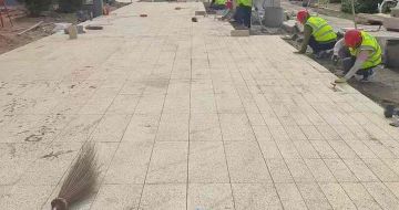 汕尾黄金麻荔枝面地铺案例