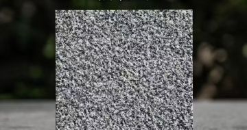 汕尾 芝麻黑荔枝面