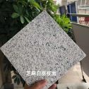 汕尾 芝麻白荔枝面干挂