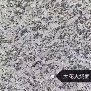 汕尾 芙蓉白（芝麻白大花）火烧面