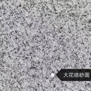 汕尾 芙蓉白（芝麻白大花）荔枝面