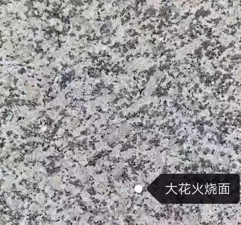 汕尾 芙蓉白（芝麻白大花）火烧面