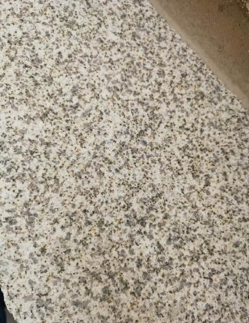 汕尾 黄金麻中黄光面