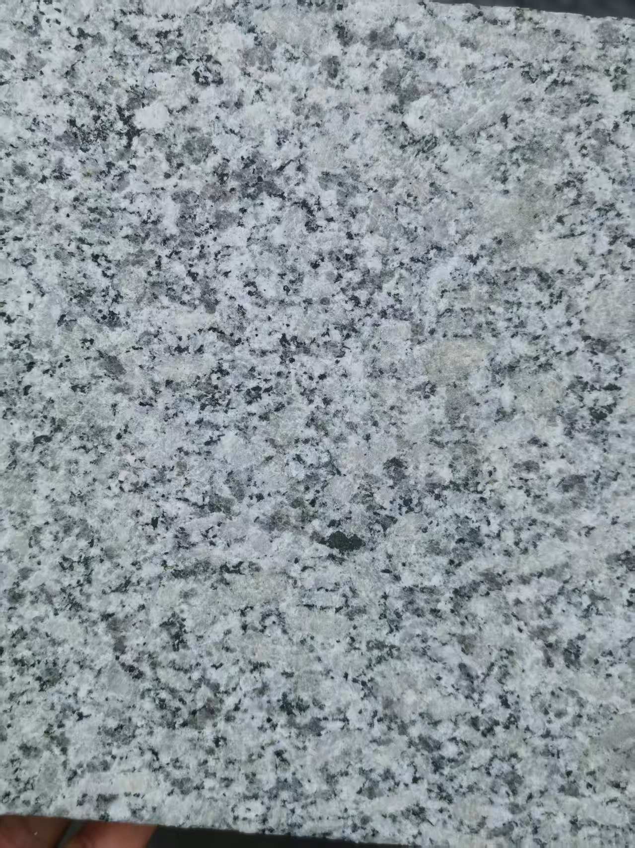 汕尾 芙蓉白火烧面