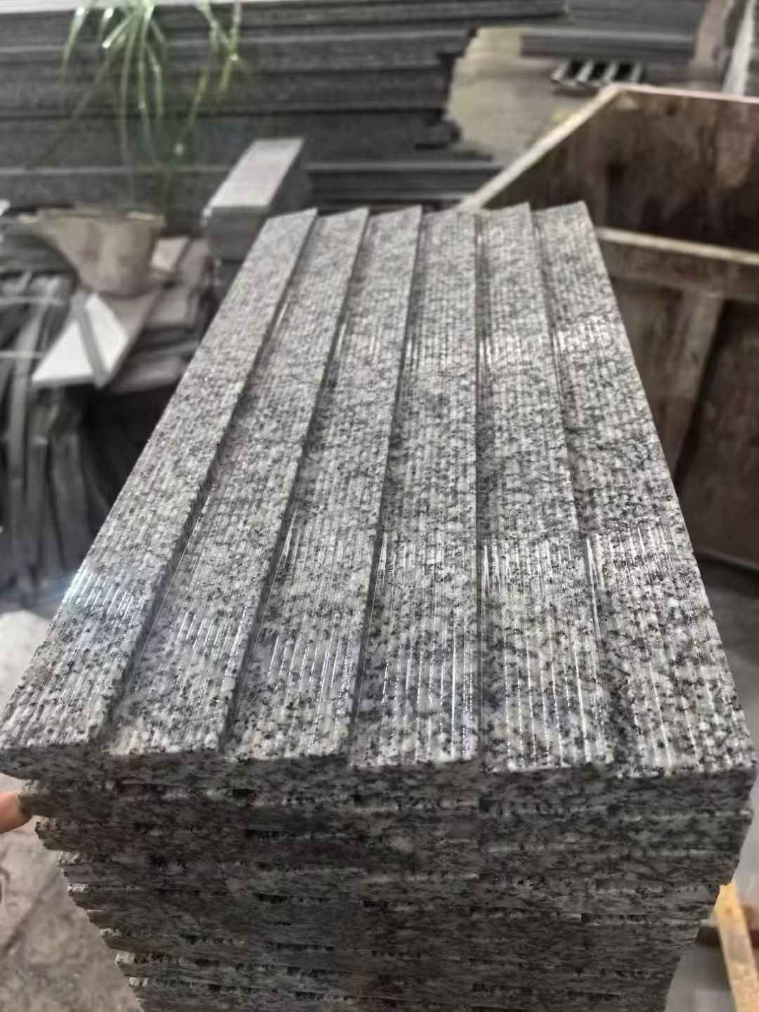 汕尾 狼牙石