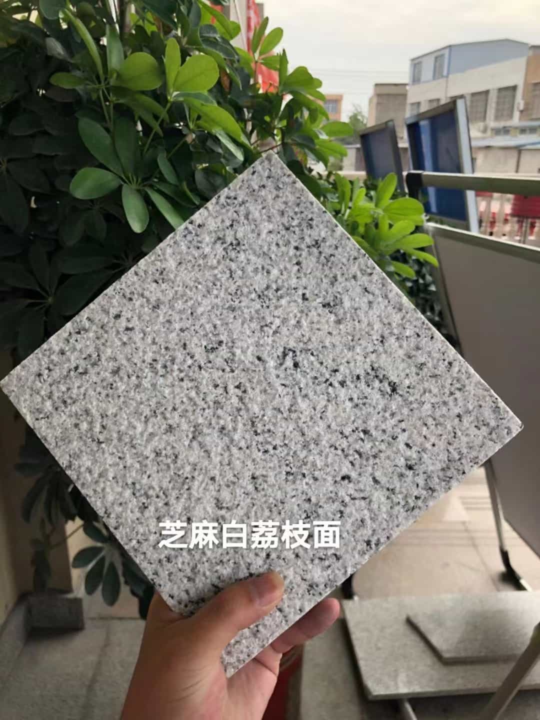 汕尾 芝麻白荔枝面干挂