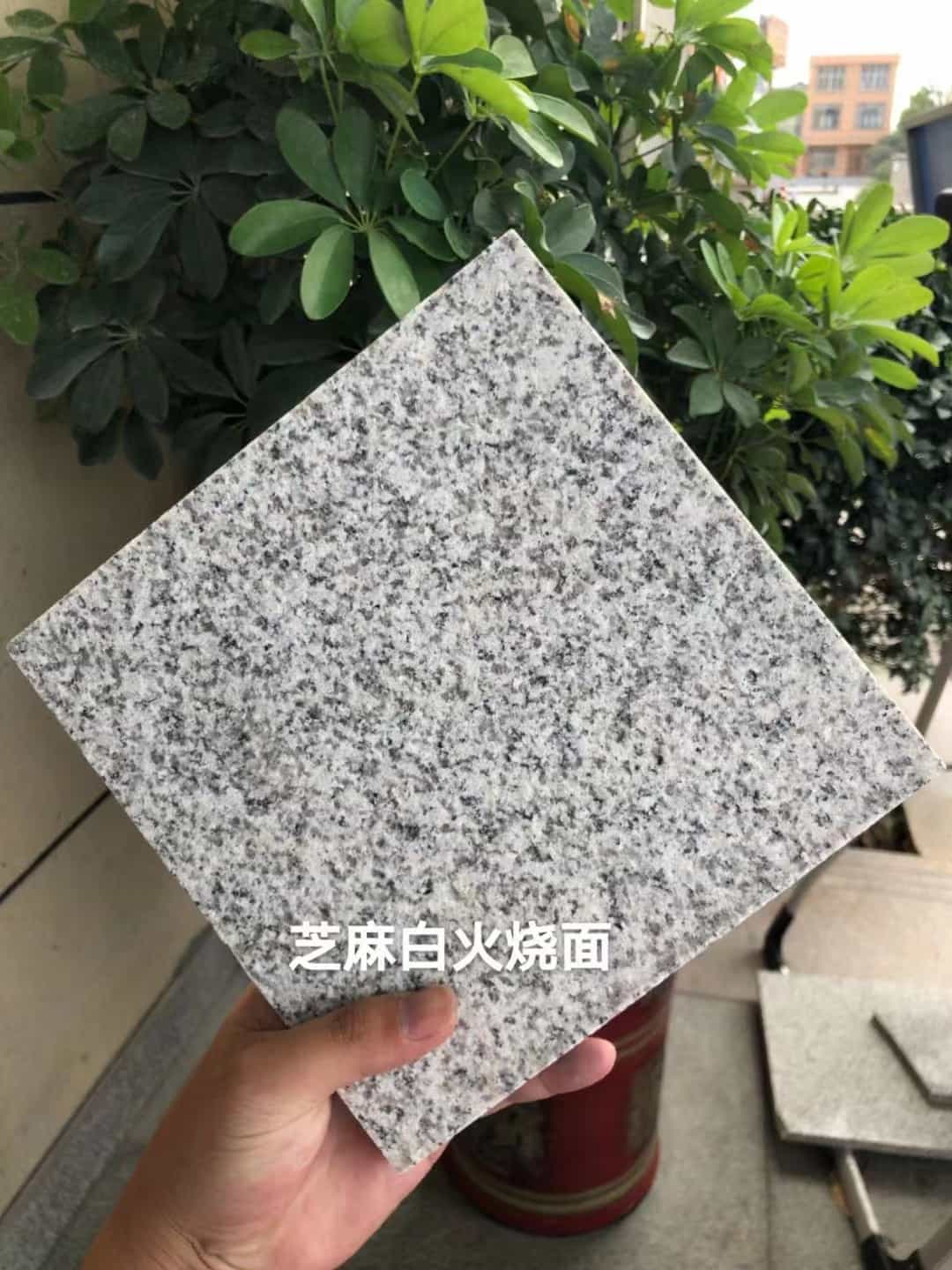 汕尾芝麻白火烧面地铺