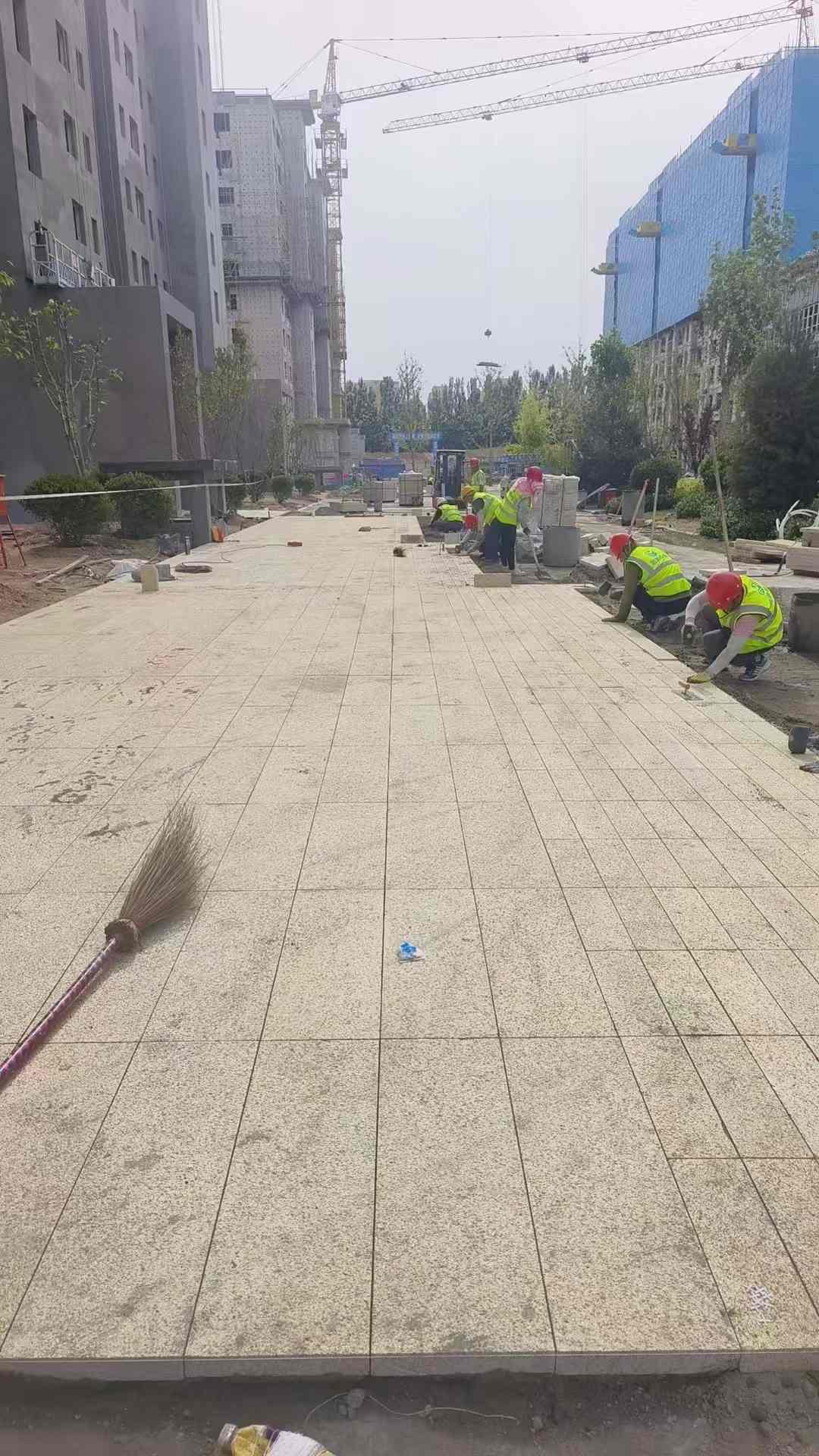 汕尾黄金麻荔枝面地铺案例